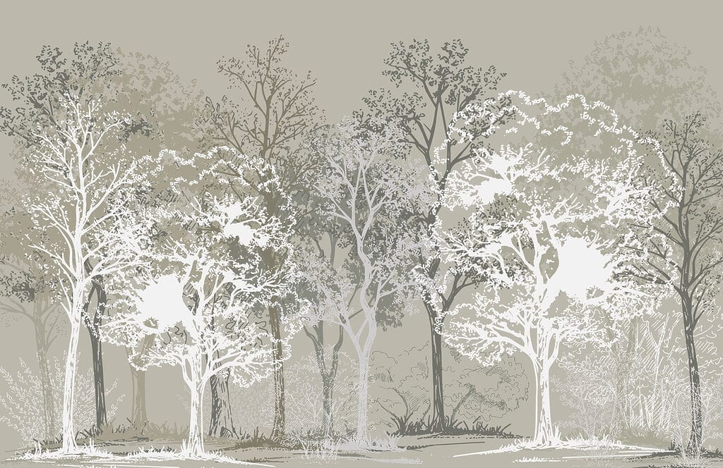 Groupe d'arbres dans une forêt Groupe d'arbres dans une forêt