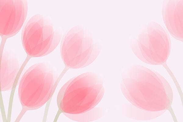 Groupe de fleurs roses Groupe de fleurs roses