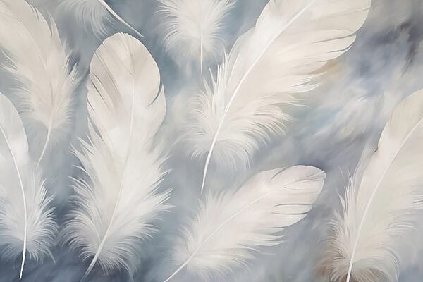 Groupe de plumes blanches Groupe de plumes blanches