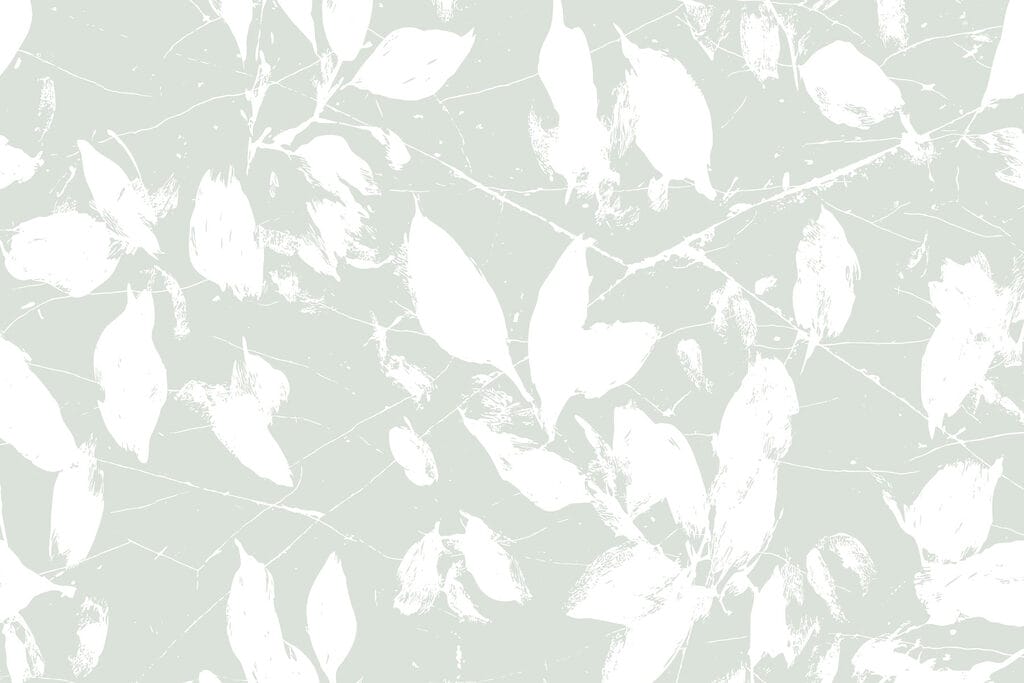 Feuilles blanches sur fond vert clair Feuilles blanches sur fond vert clair