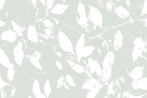 Feuilles blanches sur fond vert clair Feuilles blanches sur fond vert clair