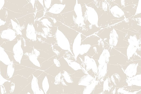 Feuilles blanches sur fond blanc Feuilles blanches sur fond blanc