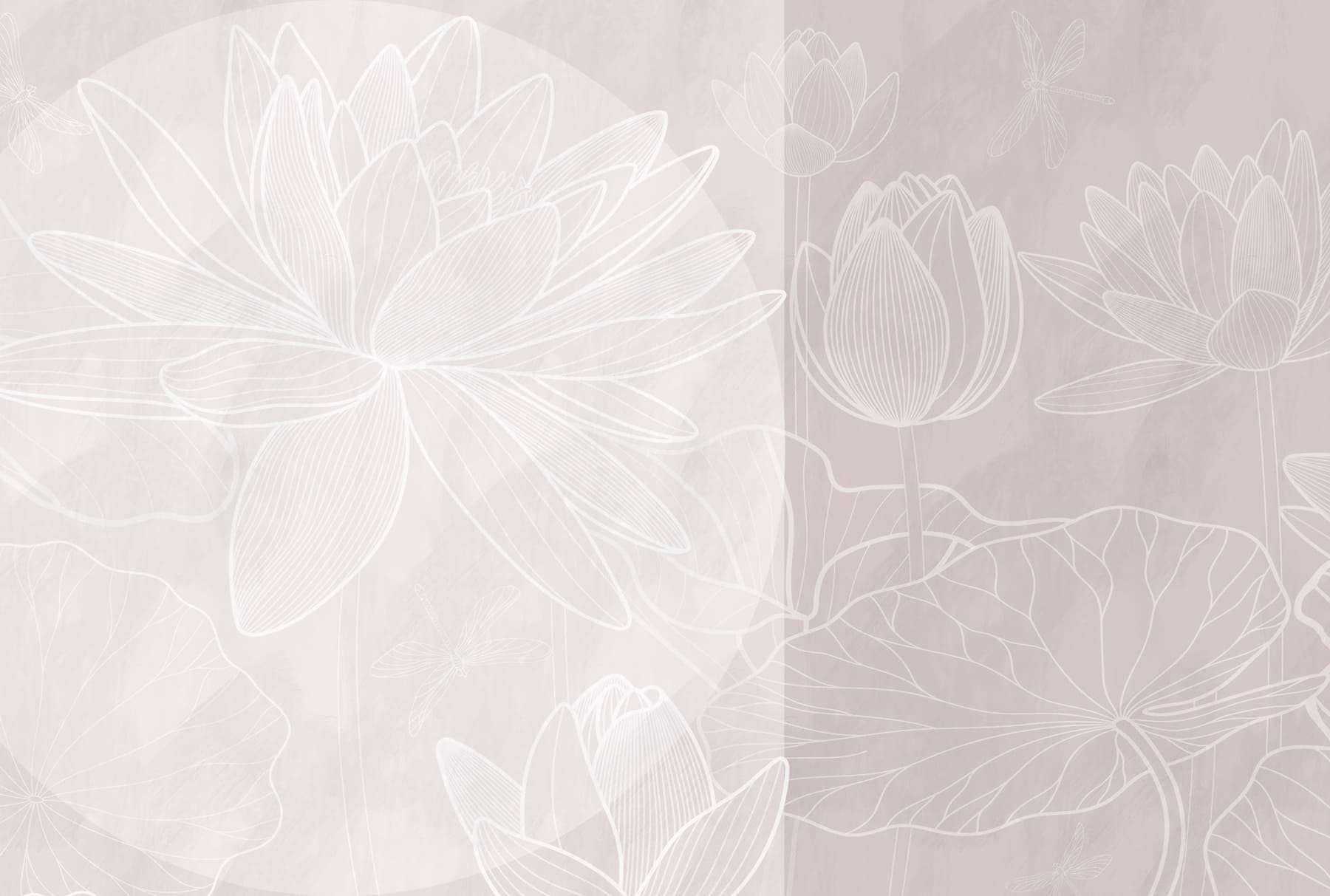 White flower drawing on a grey background White flower drawing on a grey background