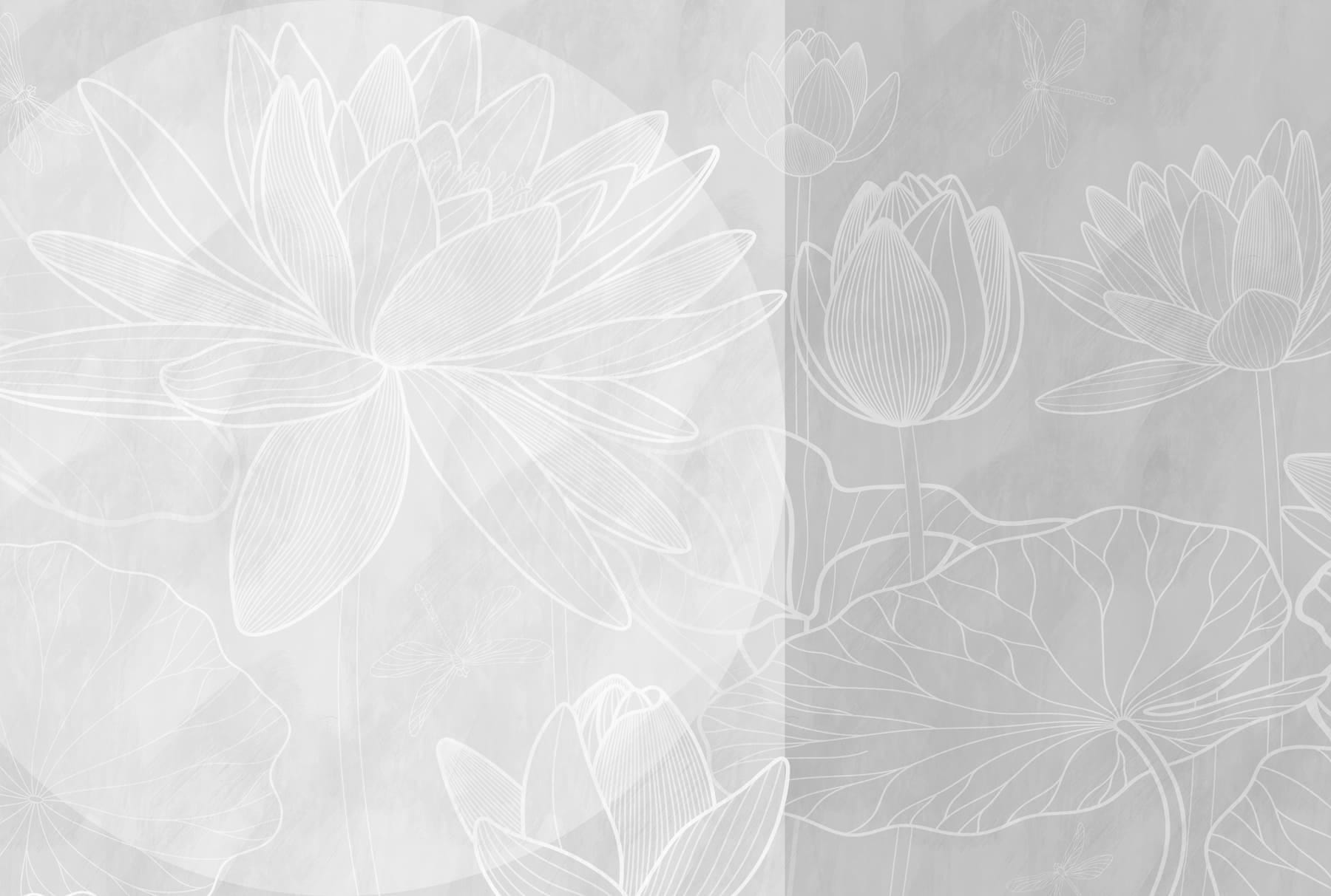 White flower drawing on a grey background White flower drawing on a grey background