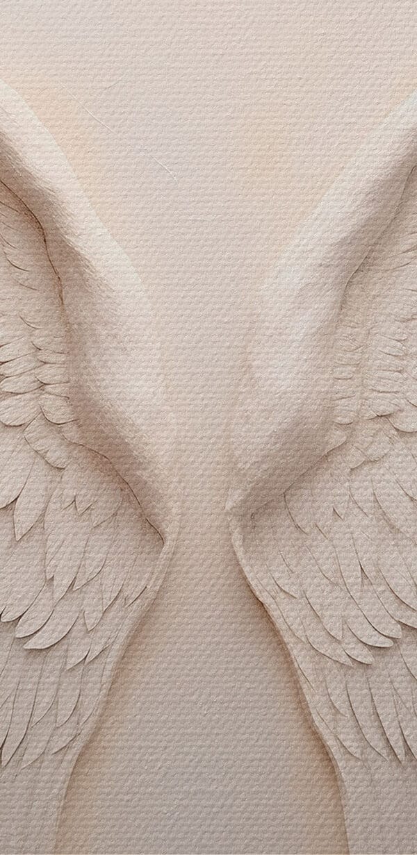 Paire d'ailes blanches Paire d'ailes blanches