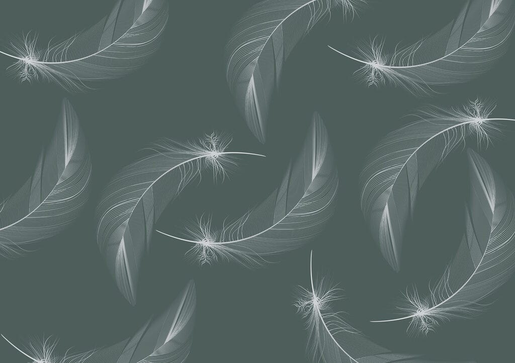 Motif de plumes blanches Motif de plumes blanches