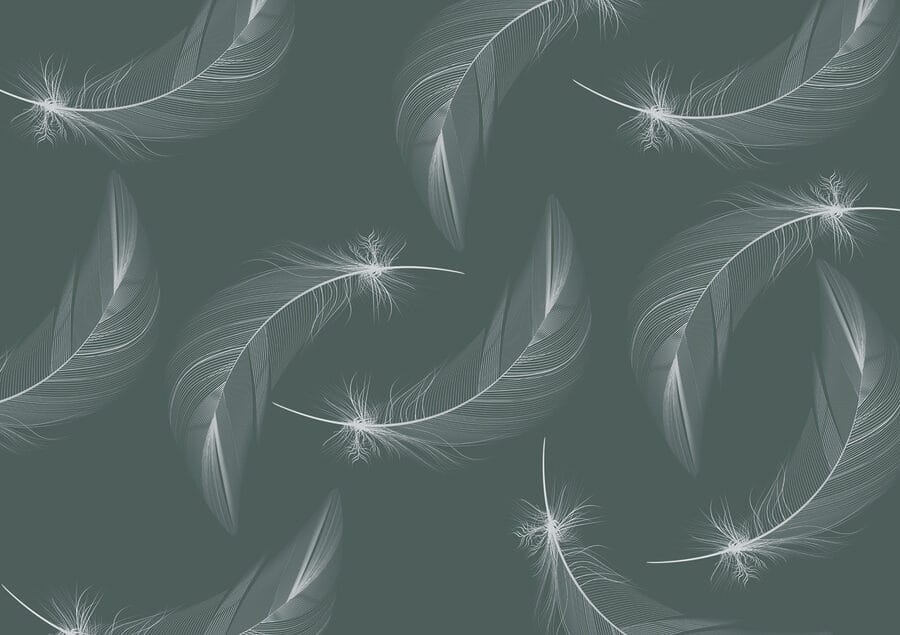 Motif de plumes blanches