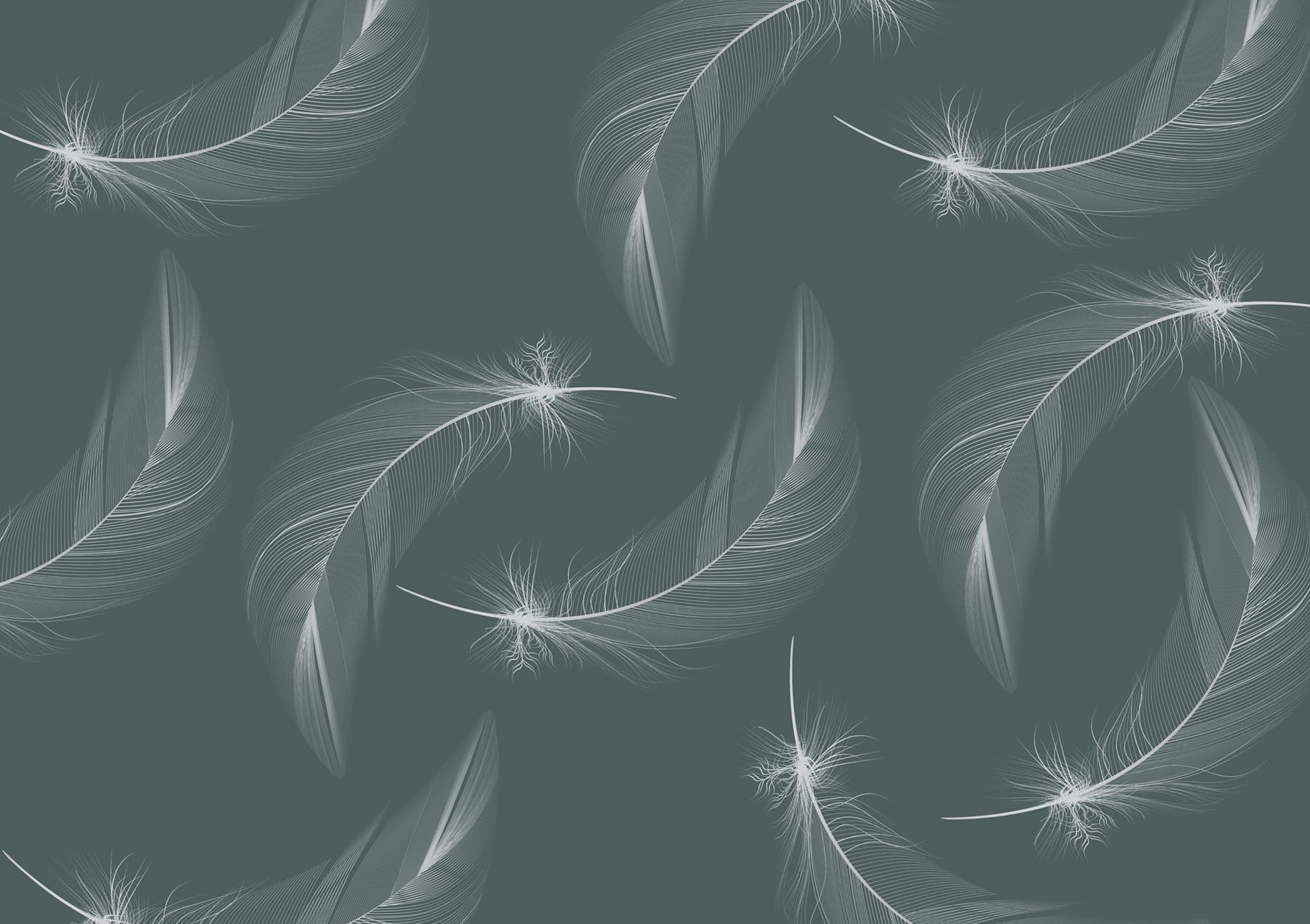 Pattern of white feathers