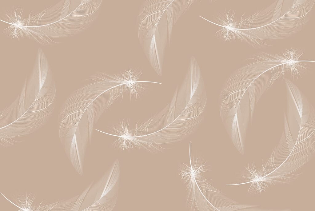 Plumes blanches sur fond brun Plumes blanches sur fond brun