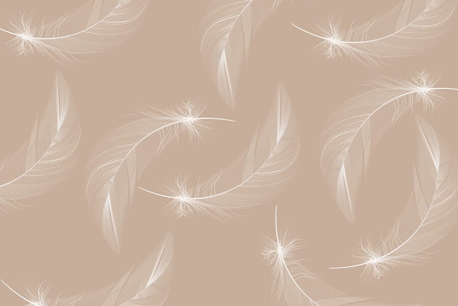 Plumes blanches sur fond brun
