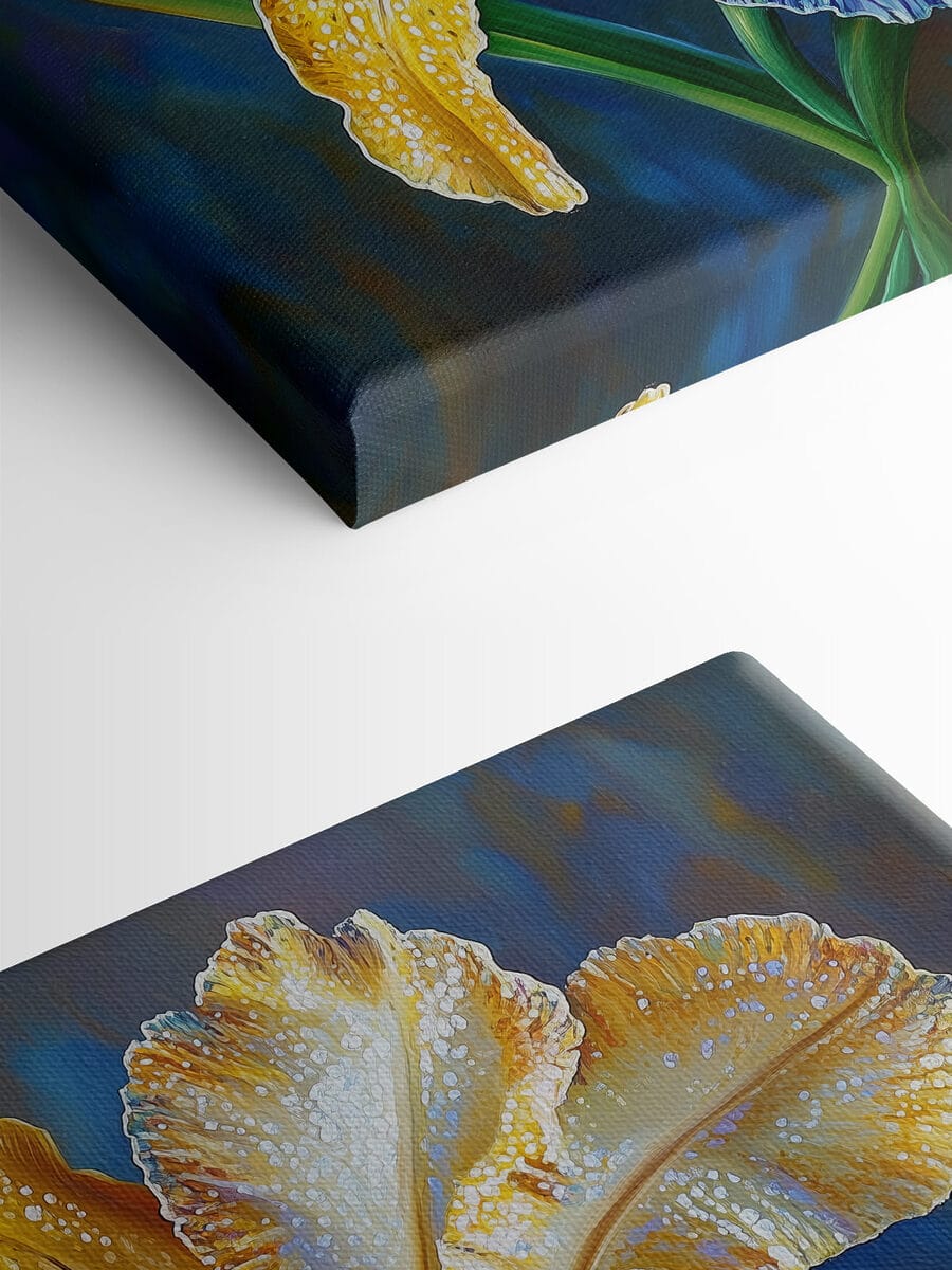 Fleur jaune et bleue Fleur jaune et bleue