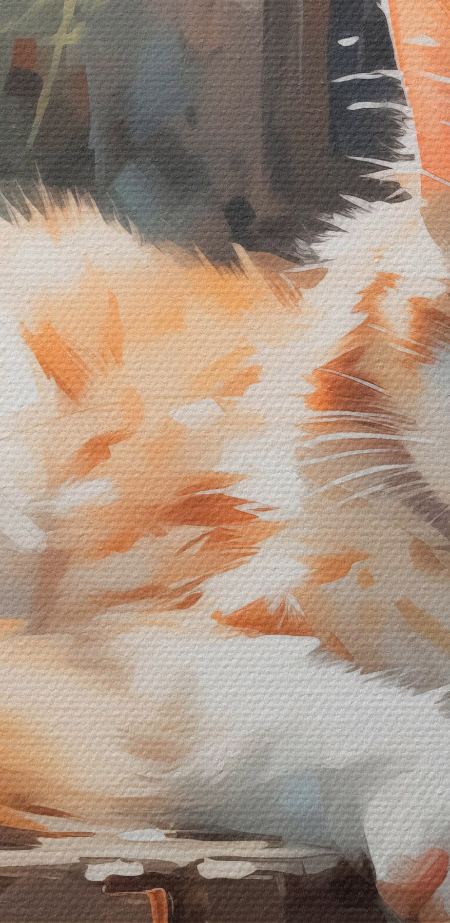 Chat couché sur une corniche