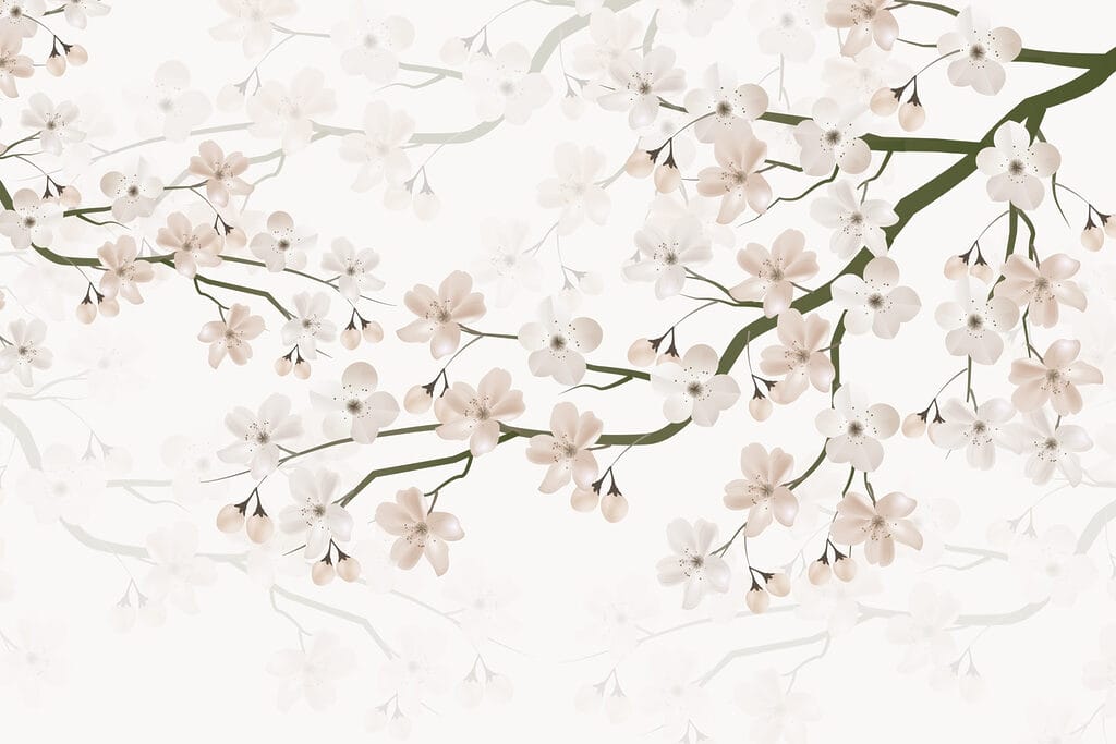 Fleurs blanches sur une branche Fleurs blanches sur une branche
