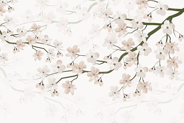 Fleurs blanches sur une branche Fleurs blanches sur une branche