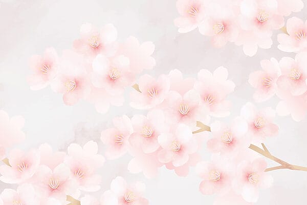 Des fleurs délicates aux teintes douces Des fleurs délicates aux teintes douces