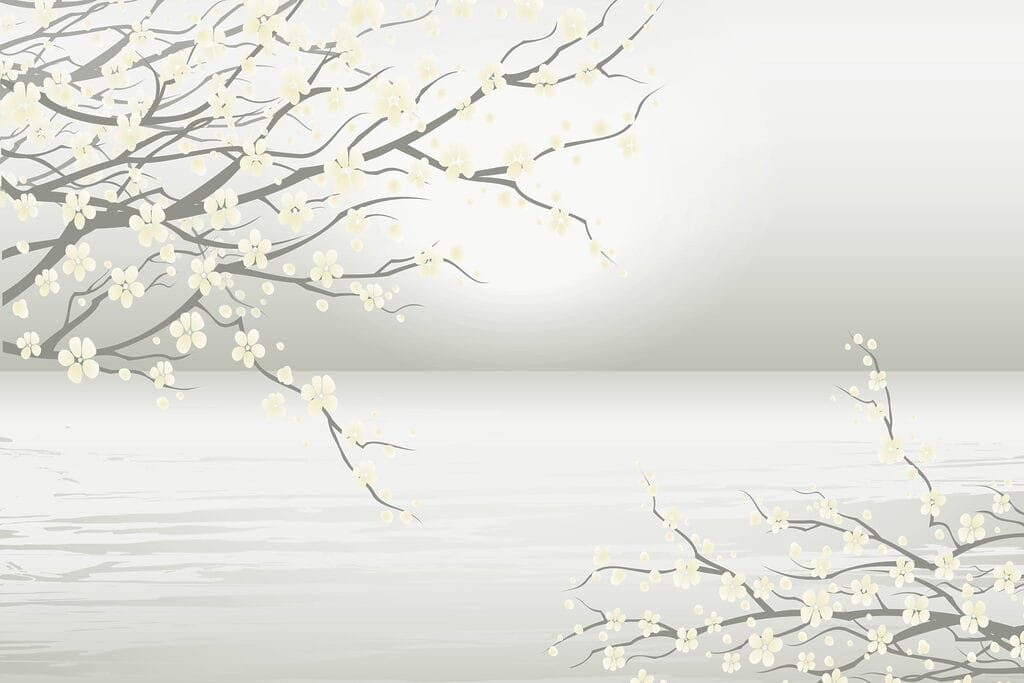 Arbre à fleurs blanches Arbre à fleurs blanches