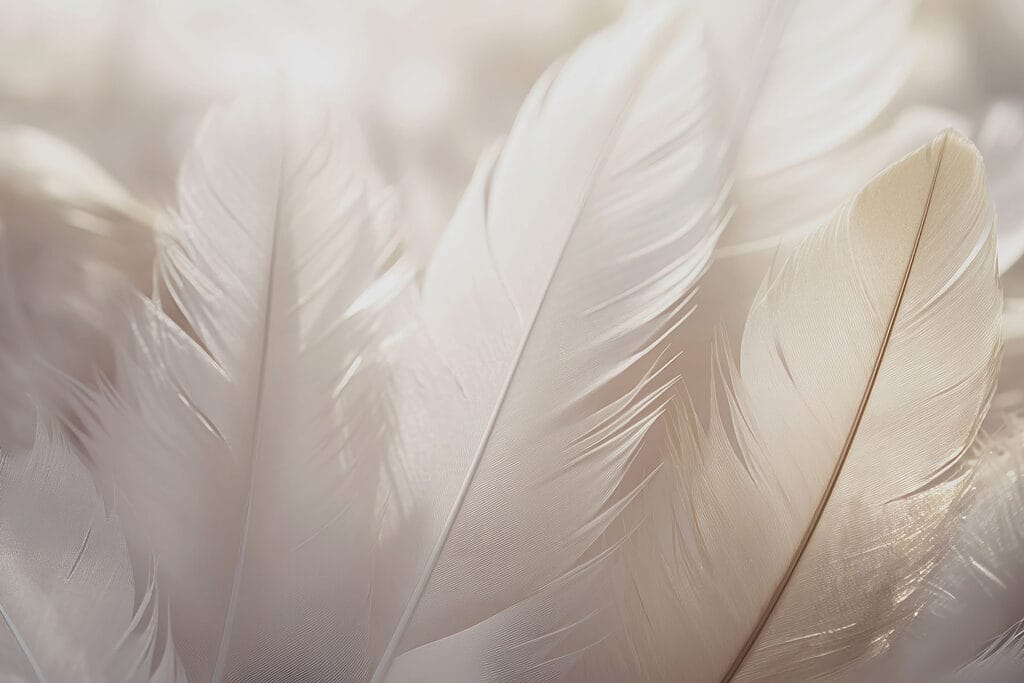 L'élégance douce des plumes délicates L'élégance douce des plumes délicates