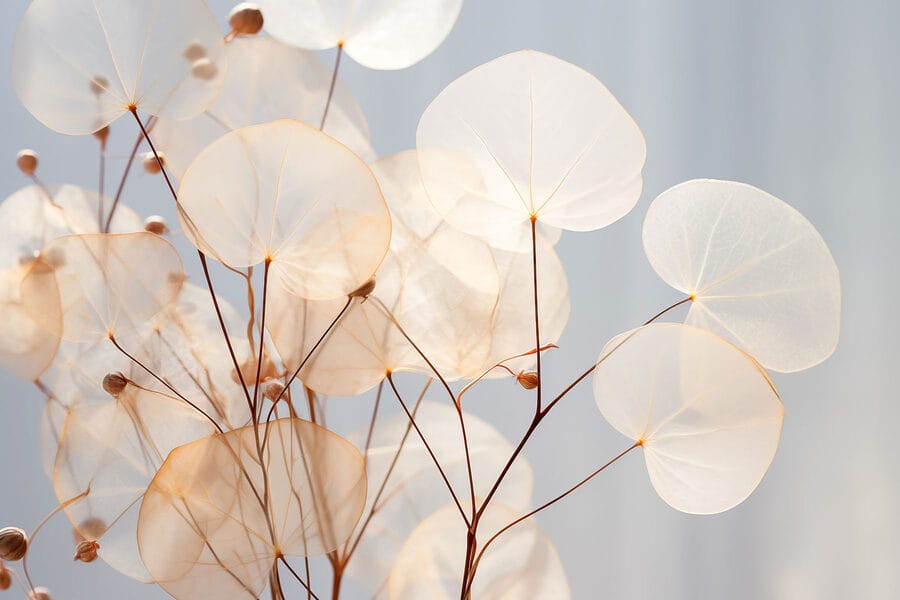 Les feuilles délicates se balancent doucement dans la lumière