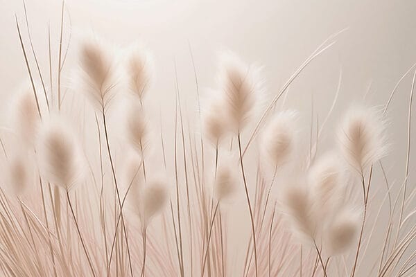 Textures douces dans une lumière douce Textures douces dans une lumière douce