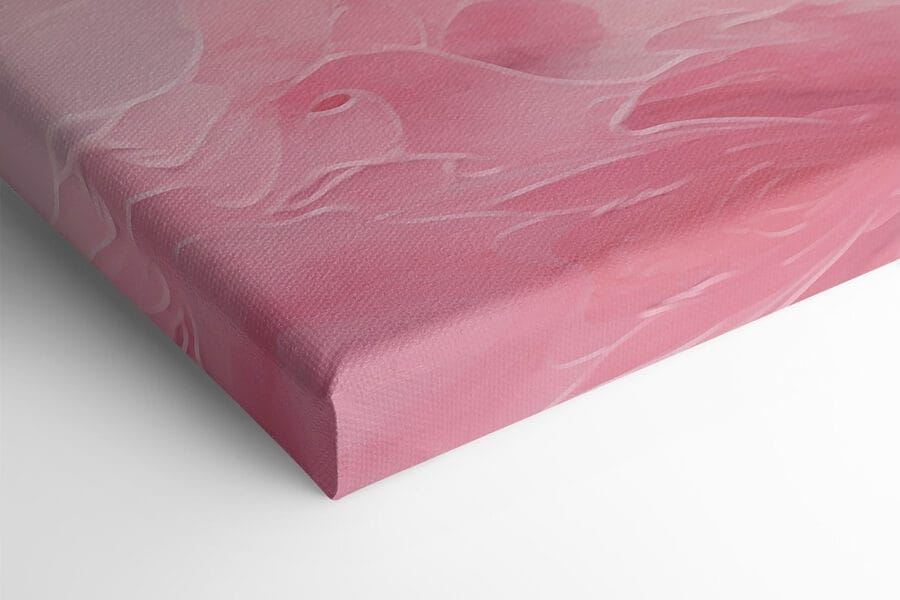 Nuage rose et blanc Nuage rose et blanc