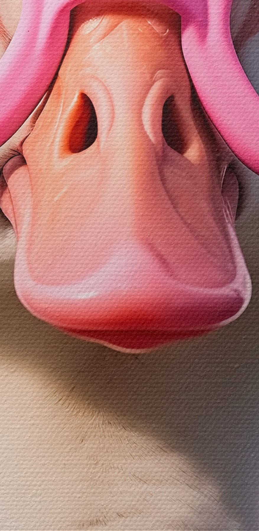 Canard portant des lunettes roses