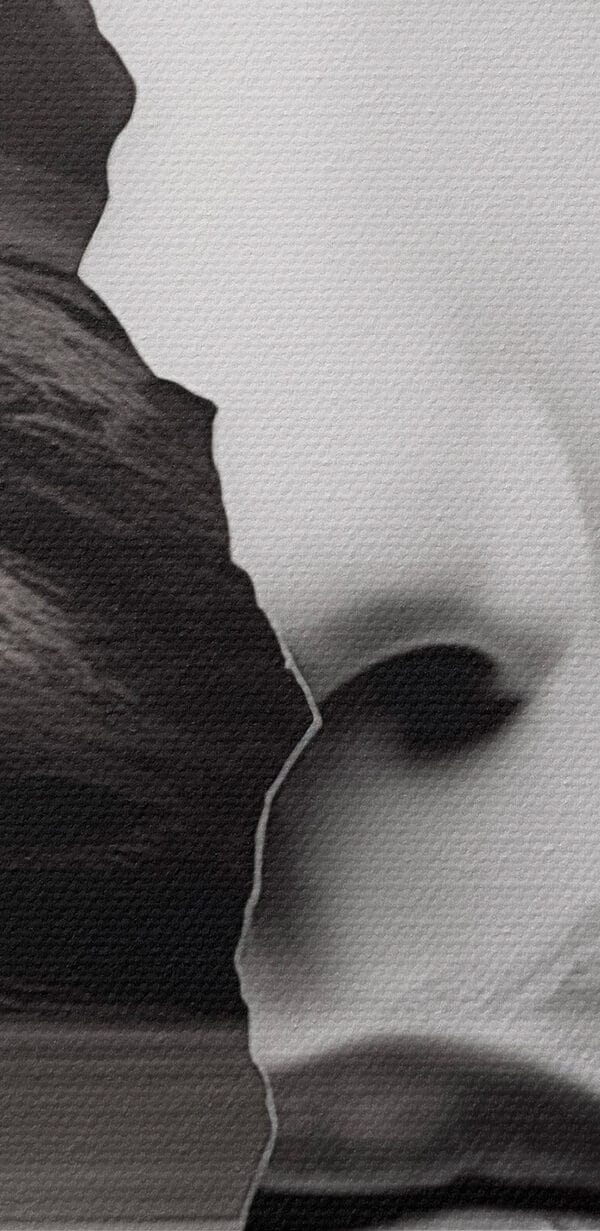 Visage et moitié de visage de femme Visage et moitié de visage de femme