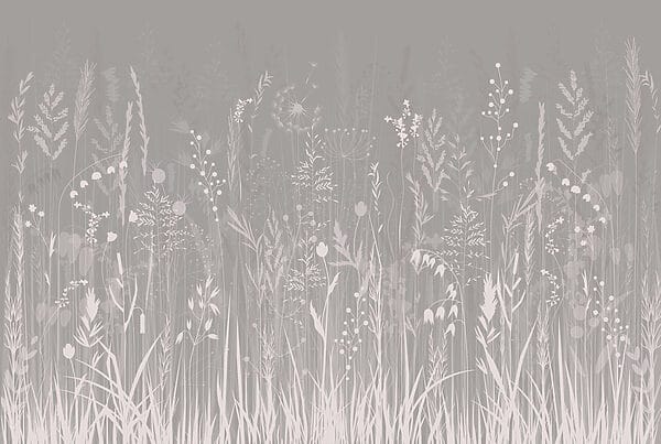 Champ d'herbe avec des fleurs Champ d'herbe avec des fleurs