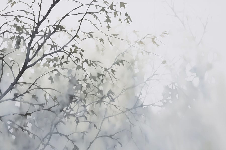 Arbre avec feuilles dans le brouillard