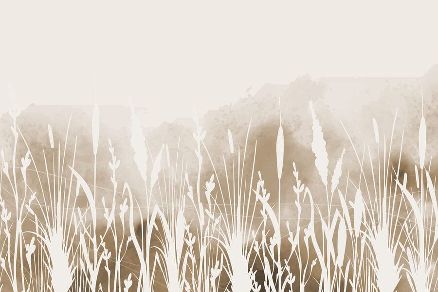 Silhouette blanche de l'herbe