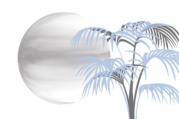Arbre avec des feuilles et un cercle blanc Arbre avec des feuilles et un cercle blanc