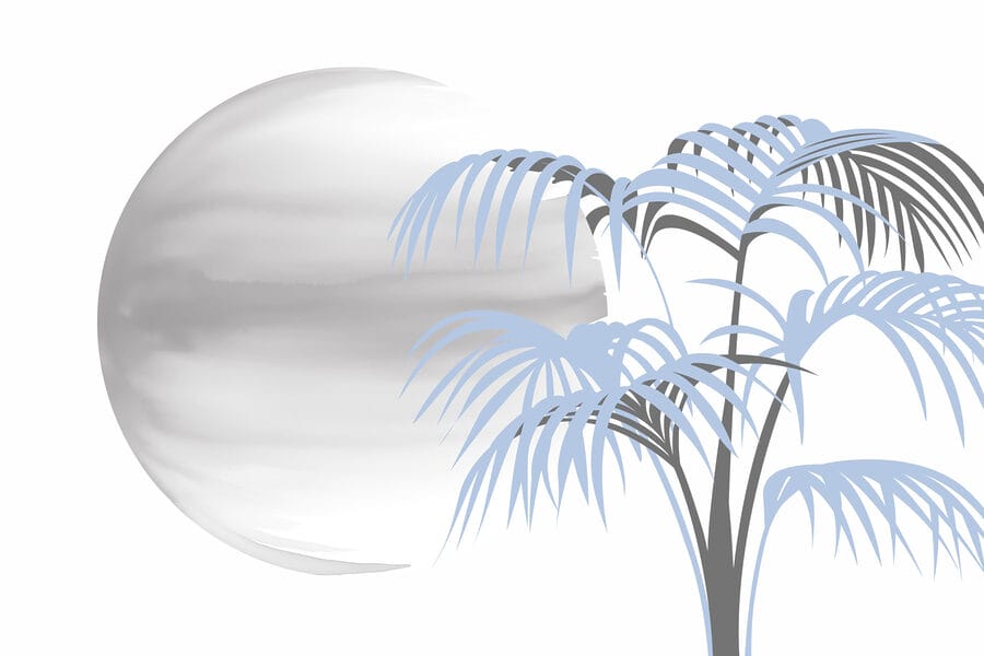 Arbre avec des feuilles et un cercle blanc