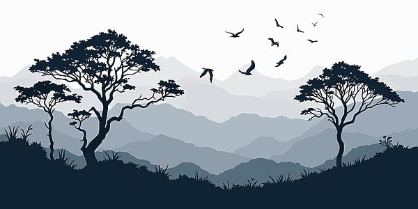 Oiseaux volant au-dessus d'une chaîne de montagnes Oiseaux volant au-dessus d'une chaîne de montagnes