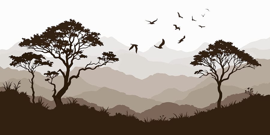 Oiseaux volant au-dessus d'une chaîne de montagnes