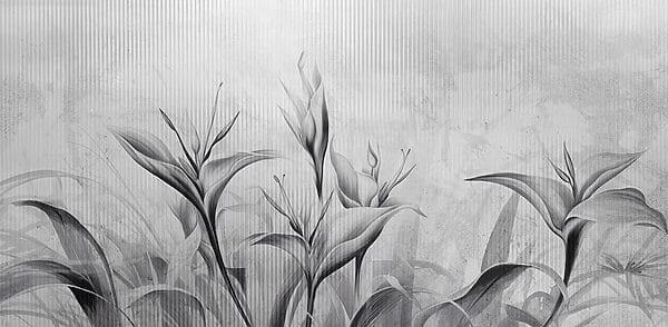 Image de fleurs en noir et blanc Image de fleurs en noir et blanc