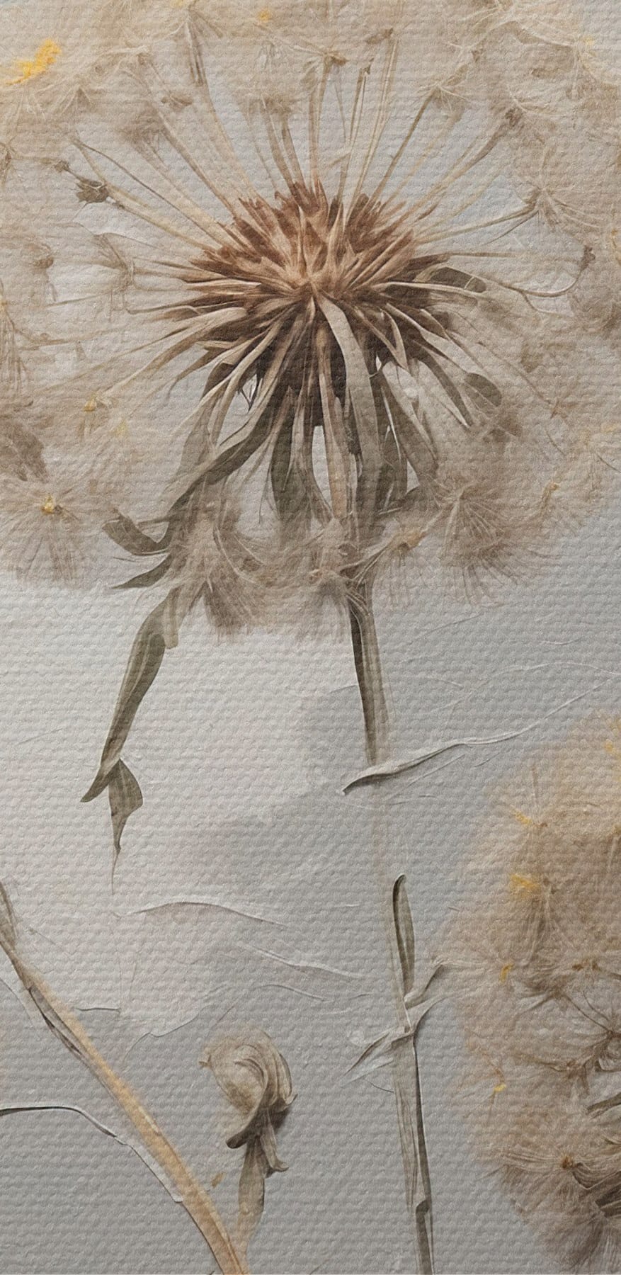 Peinture de pissenlits sur fond blanc