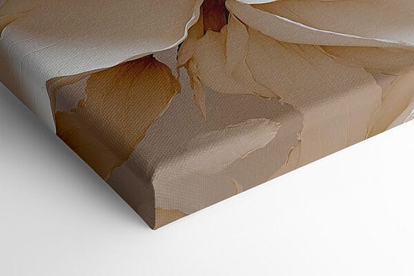 Pétales délicats aux teintes douces Pétales délicats aux teintes douces