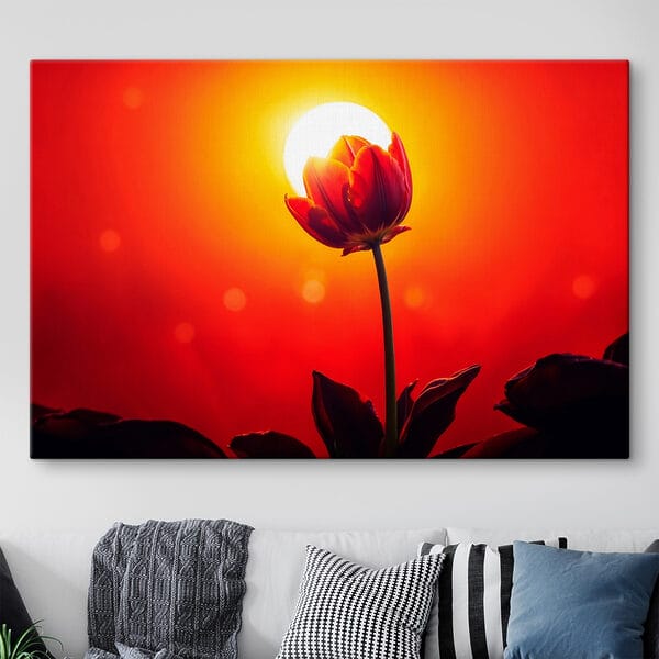 Tulipe rouge avec le soleil derrière elle Tulipe rouge avec le soleil derrière elle
