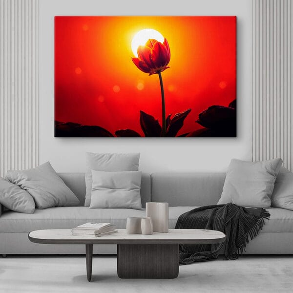 Tulipe rouge avec le soleil derrière elle Tulipe rouge avec le soleil derrière elle
