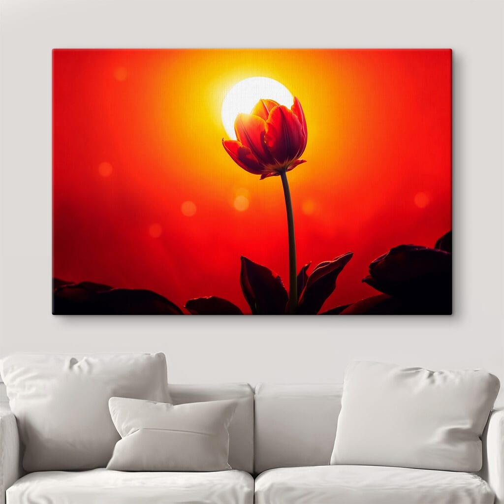 Red tulip with the sun behind it