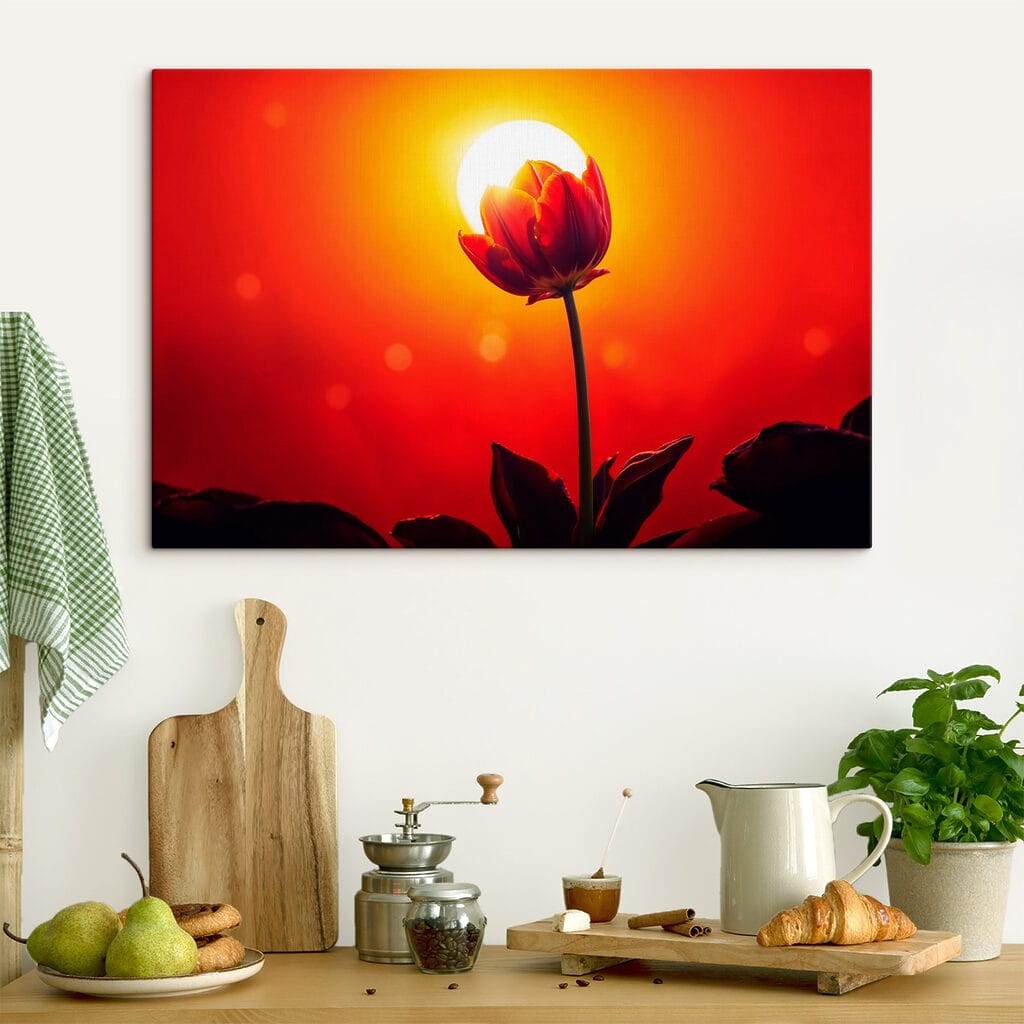 Red tulip with the sun behind it