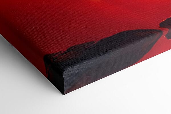 Tulipe rouge avec le soleil derrière elle Tulipe rouge avec le soleil derrière elle