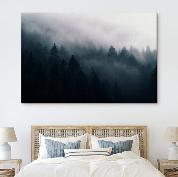 Forêt brumeuse avec des arbres Forêt brumeuse avec des arbres