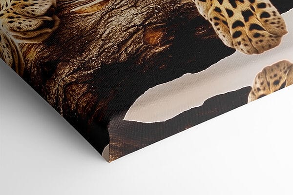 Léopard couché sur une branche d'arbre Léopard couché sur une branche d'arbre