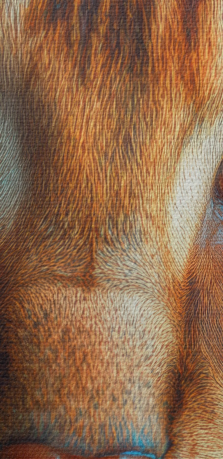 Un félin majestueux avec des yeux étonnants