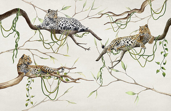 Groupe de léopards couchés sur des branches Groupe de léopards couchés sur des branches