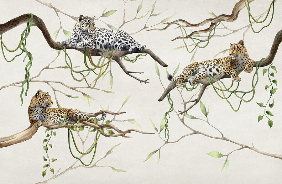 Groupe de léopards couchés sur des branches
