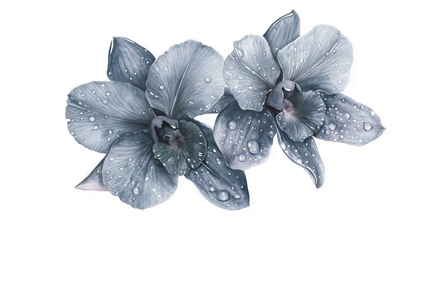 Papier peint Fleurs délicates avec gouttes de rosée. – Image 7