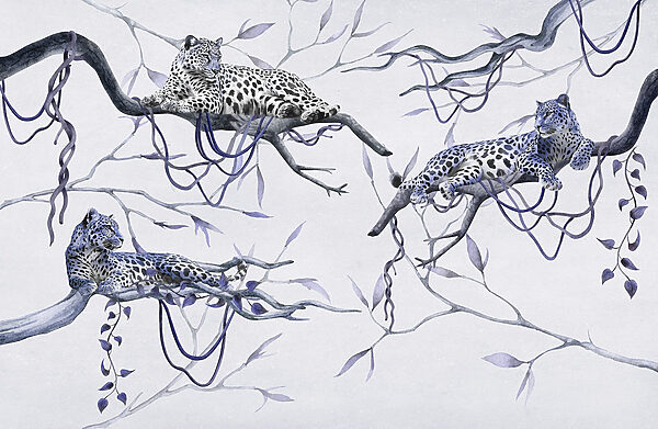 Groupe de léopards couchés sur des branches Groupe de léopards couchés sur des branches