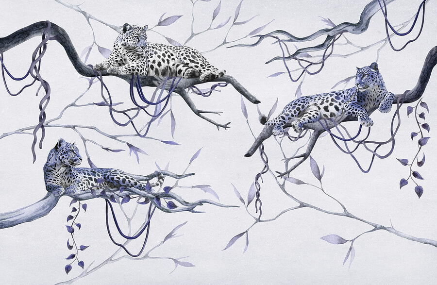 Groupe de léopards couchés sur des branches