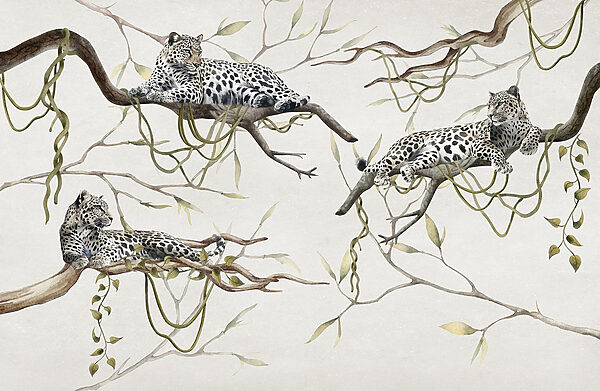 Groupe de léopards couchés sur des branches Groupe de léopards couchés sur des branches